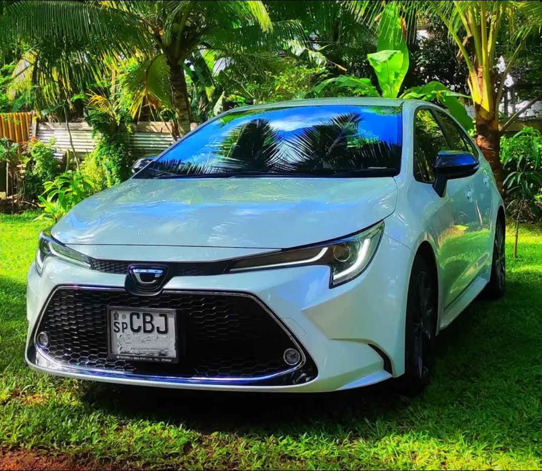 Toyota corolla 2019