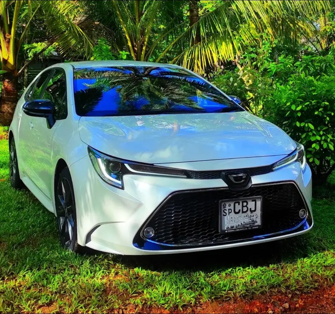 Toyota corolla 2019