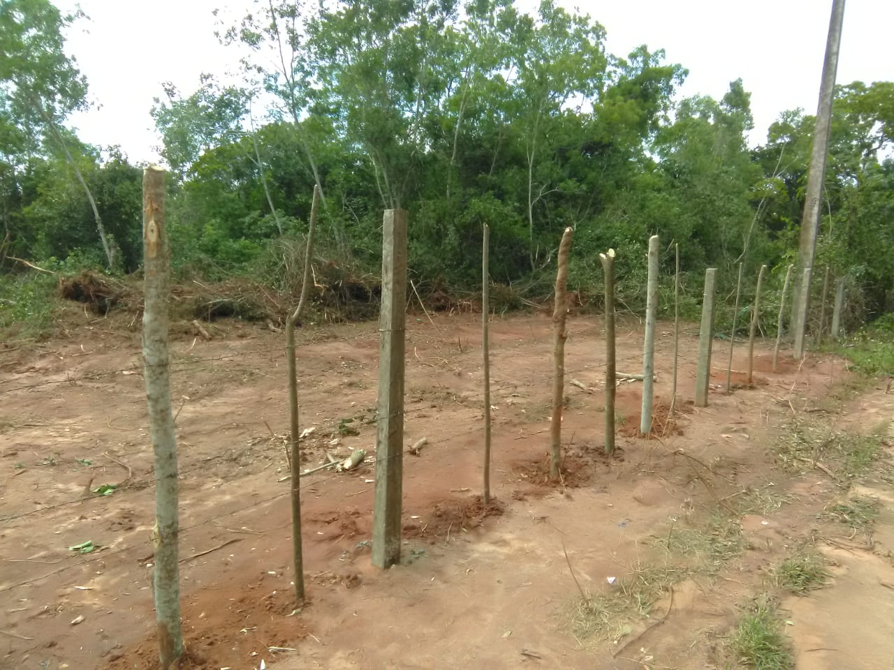 ඉඩමක් විකිණීමට ඇත.
