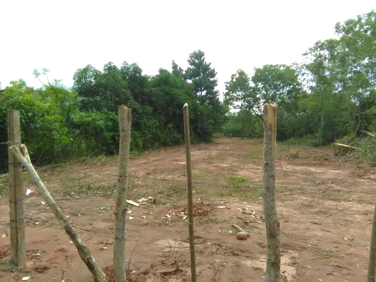 ඉඩමක් විකිණීමට ඇත.