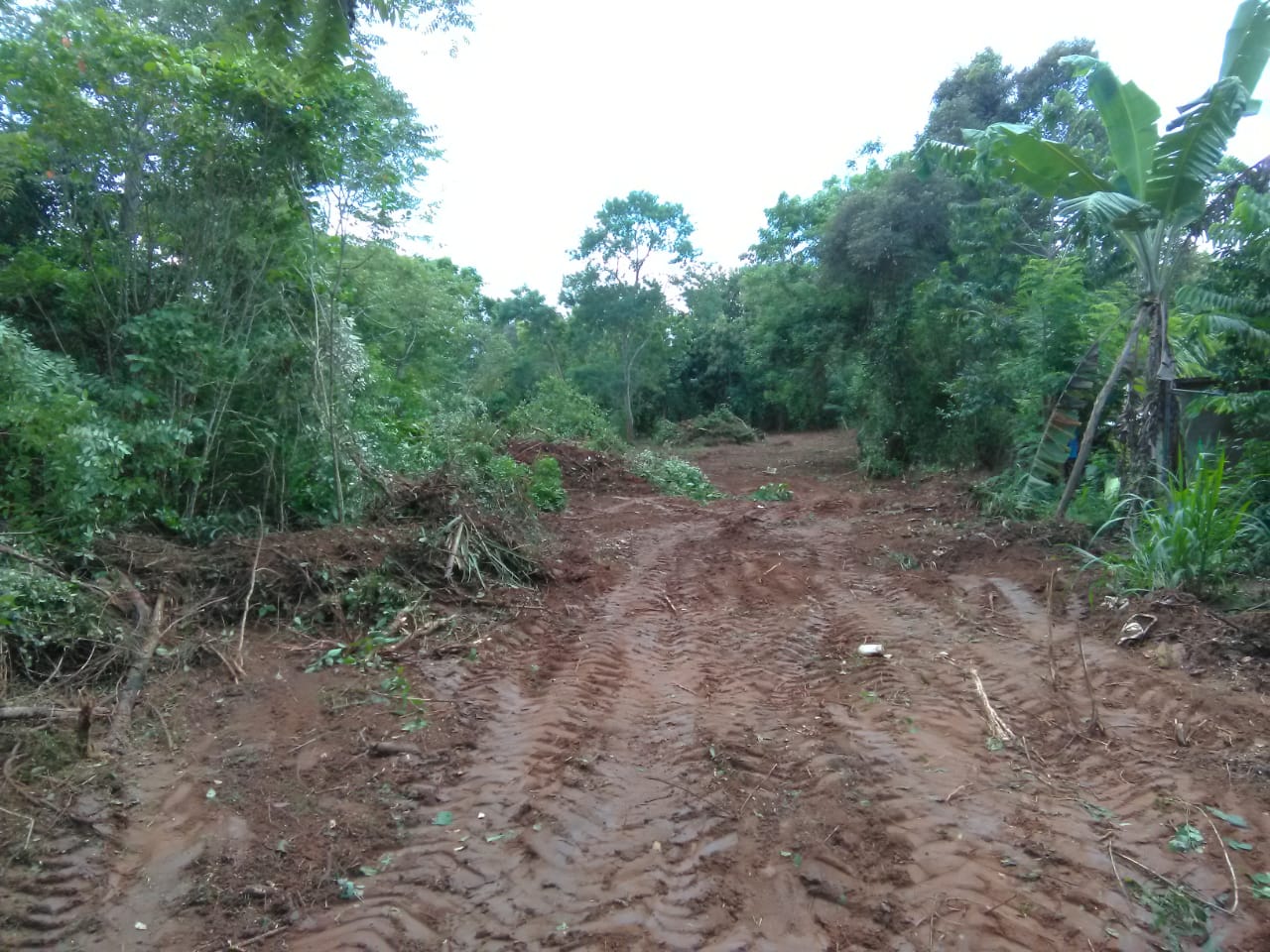 ඉඩමක් විකිණීමට ඇත.